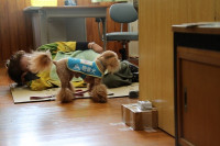0925_聴導犬6