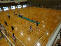 DSC00517