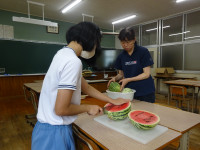 DSC01252