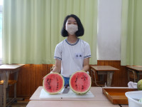 DSC01251