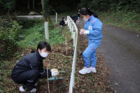 1104_植樹８