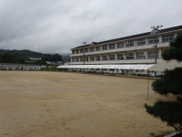 DSC01445